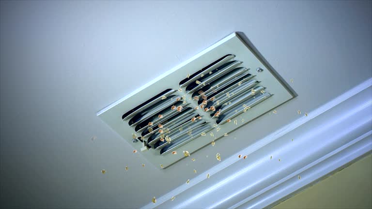Best HVAC Air Duct Cleaning  in Portsmouth, VA